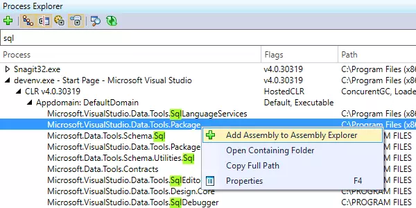 Process Explorer window in dotPeek