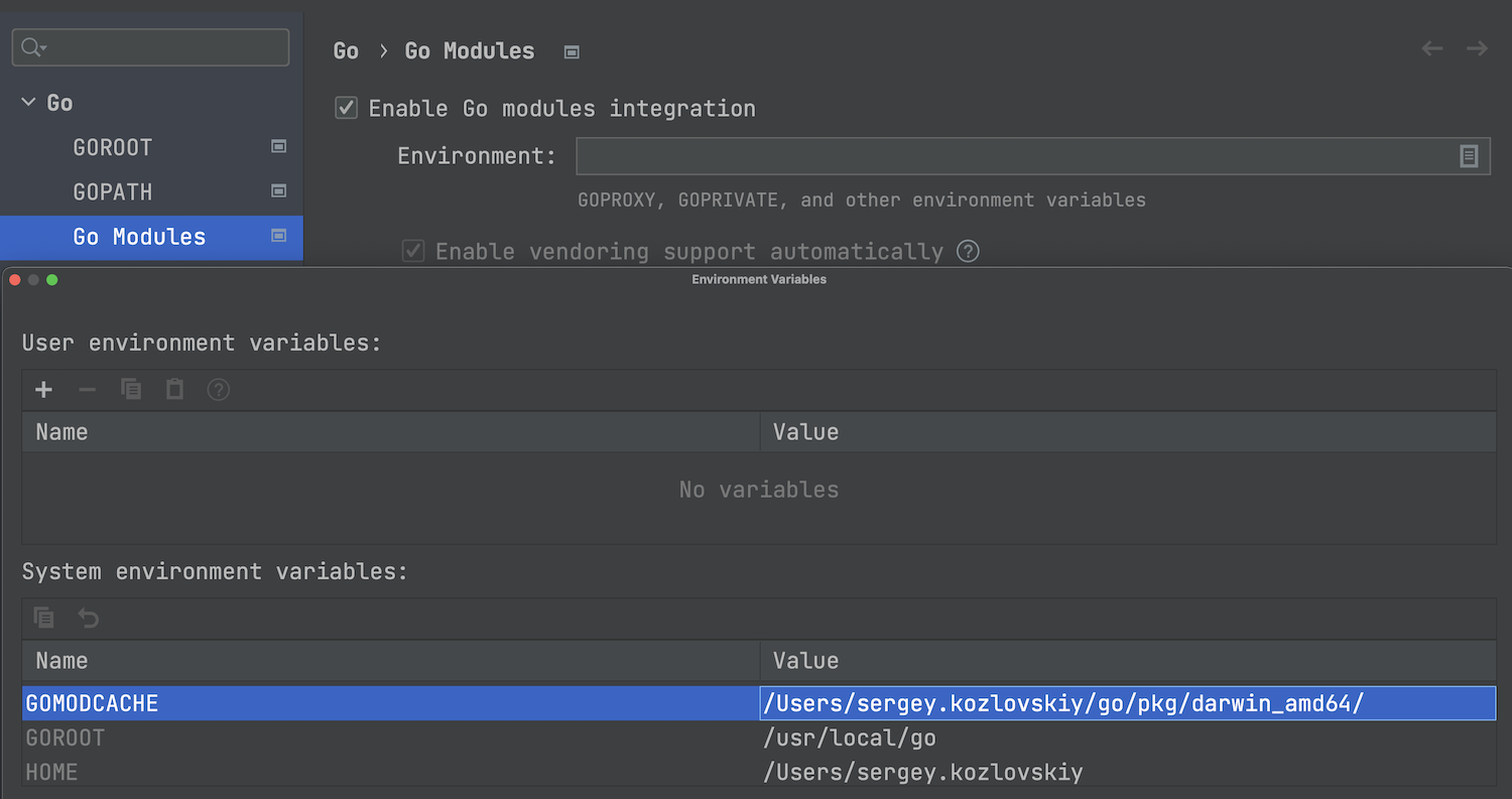 Go environment variables are displayed in the settings