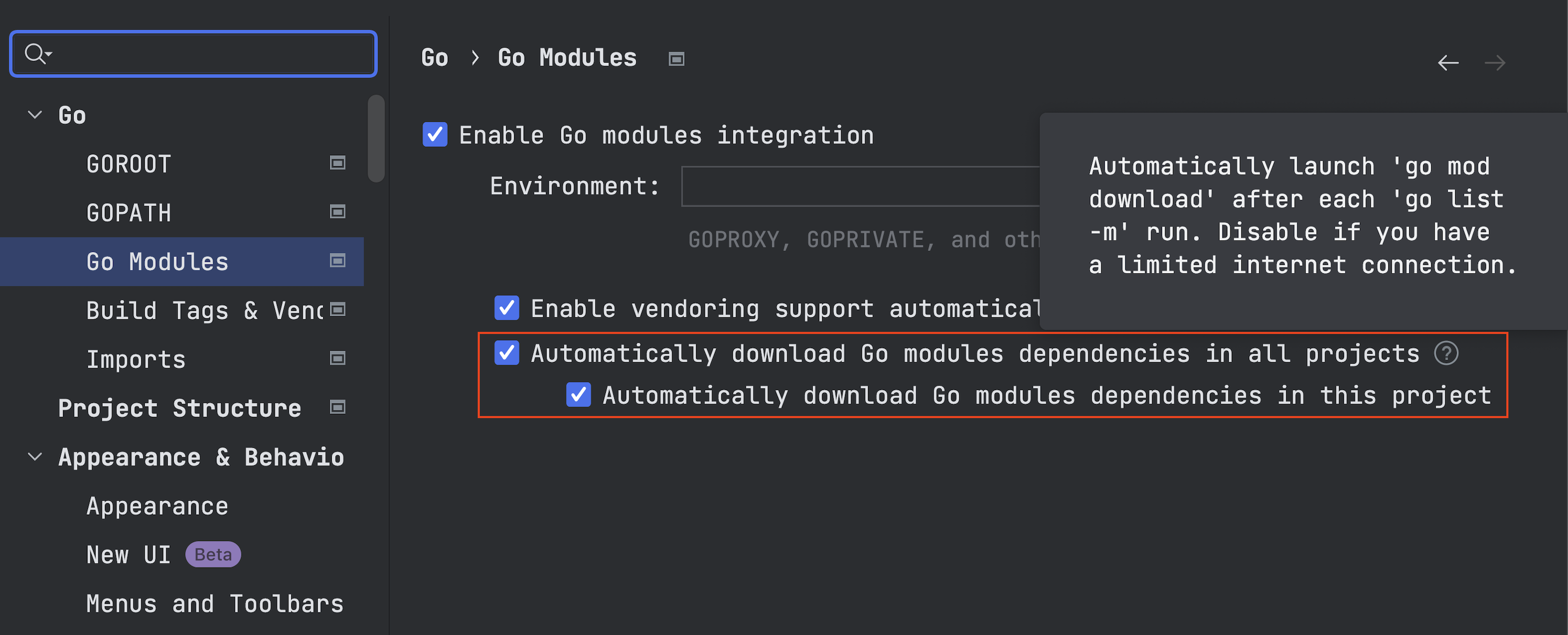 Go modules settings in GoLand