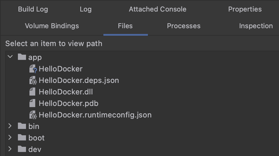 File explorer in Rider for Docker containers