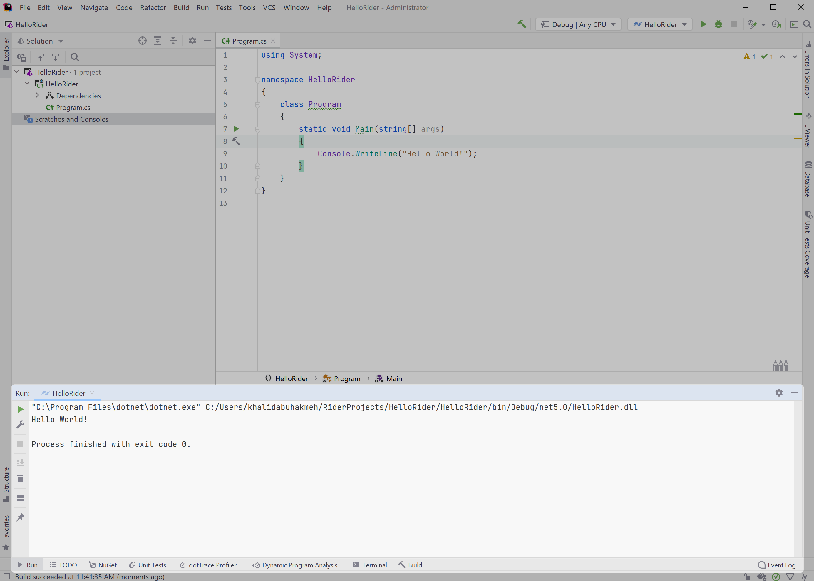 Running a solution within JetBrains Rider using play button