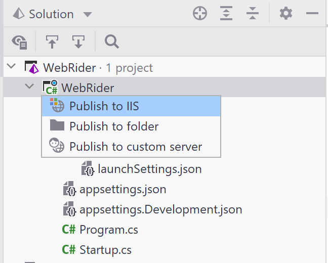 Rider publish to IIS from project menu