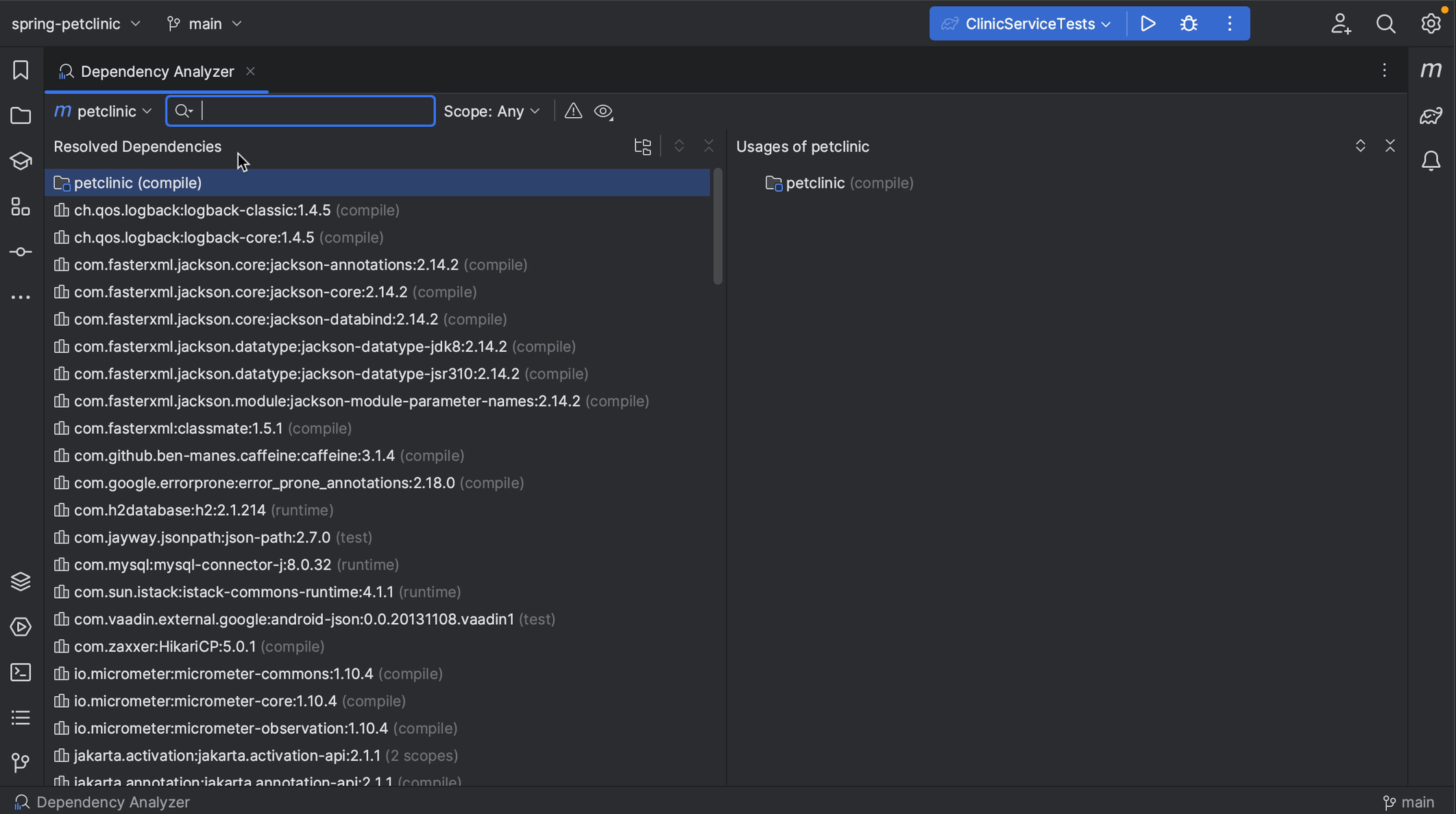 Dependency Analyzer