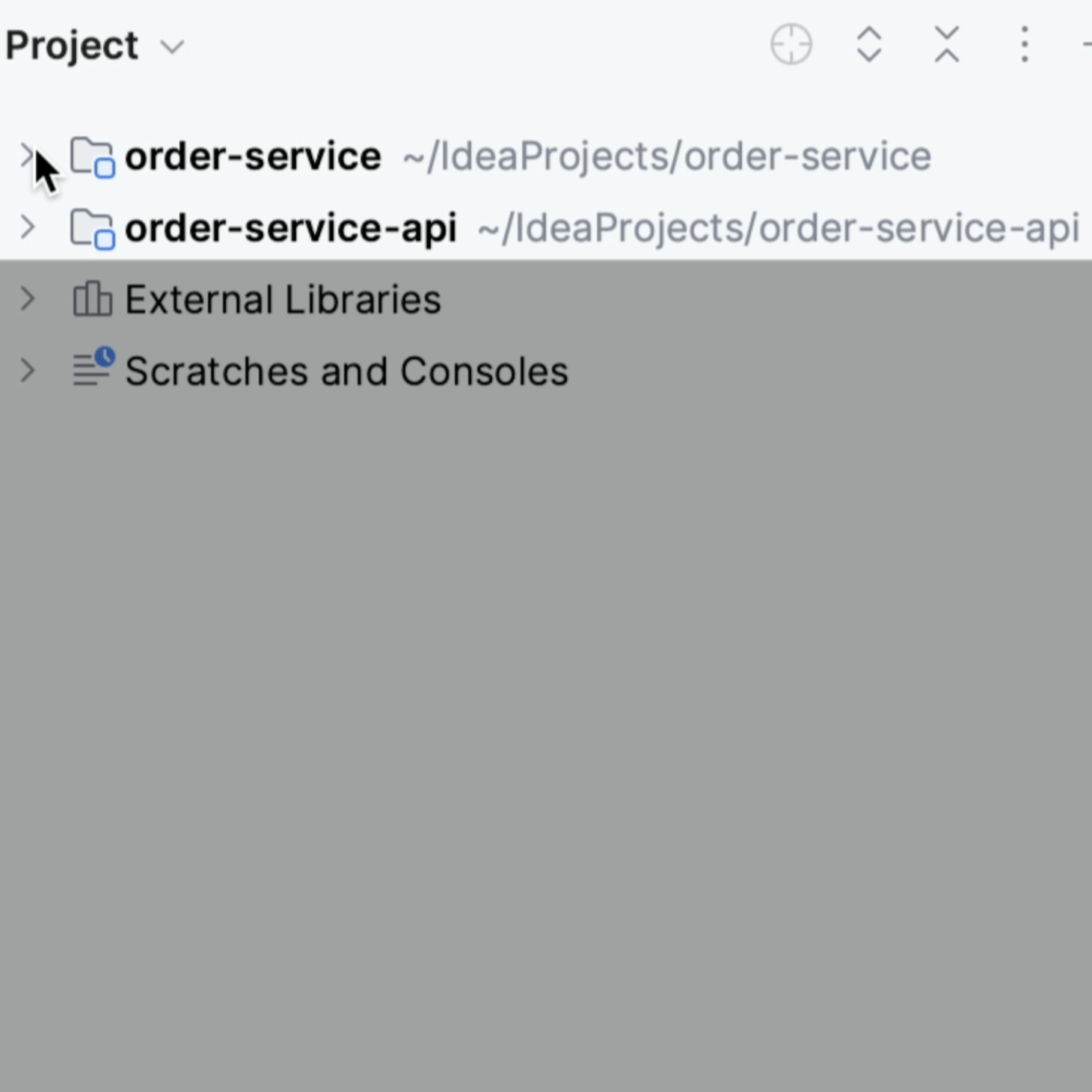 Open multiple projects