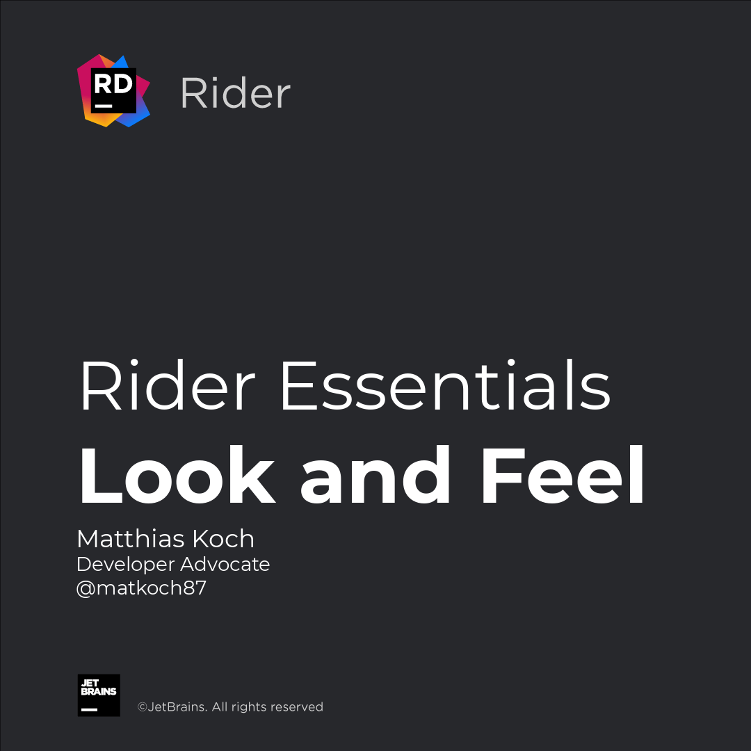 Customize the Look and Feel of Rider