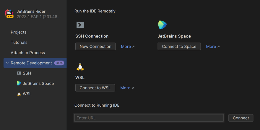 Remote development with JetBrains Rider