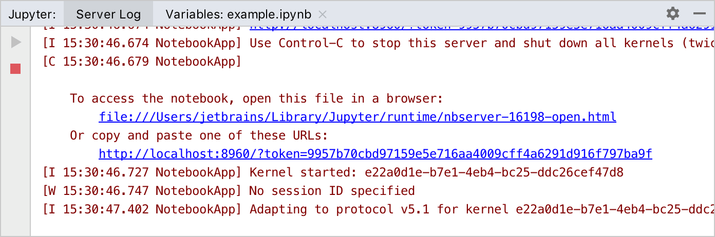 Jupyter server tool window: the Server log tab