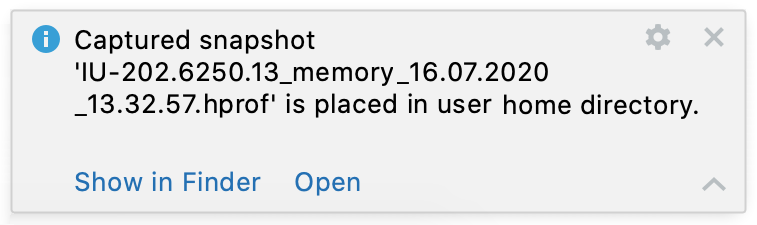 IDE memory snapshot is captured