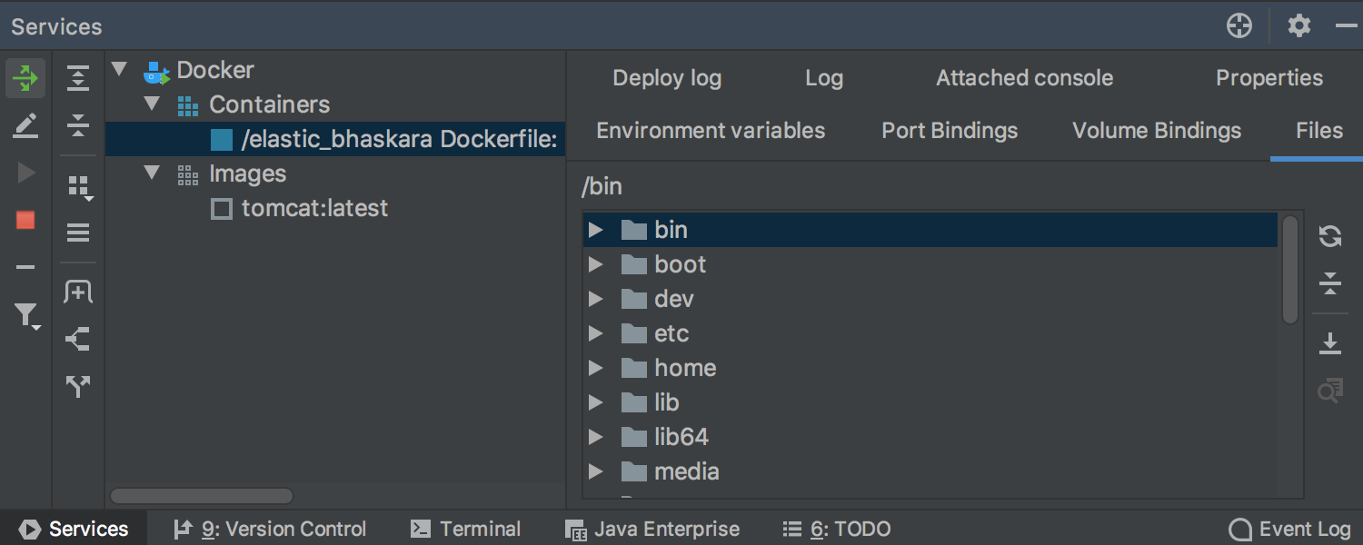 A running Docker container lets you view its file system
