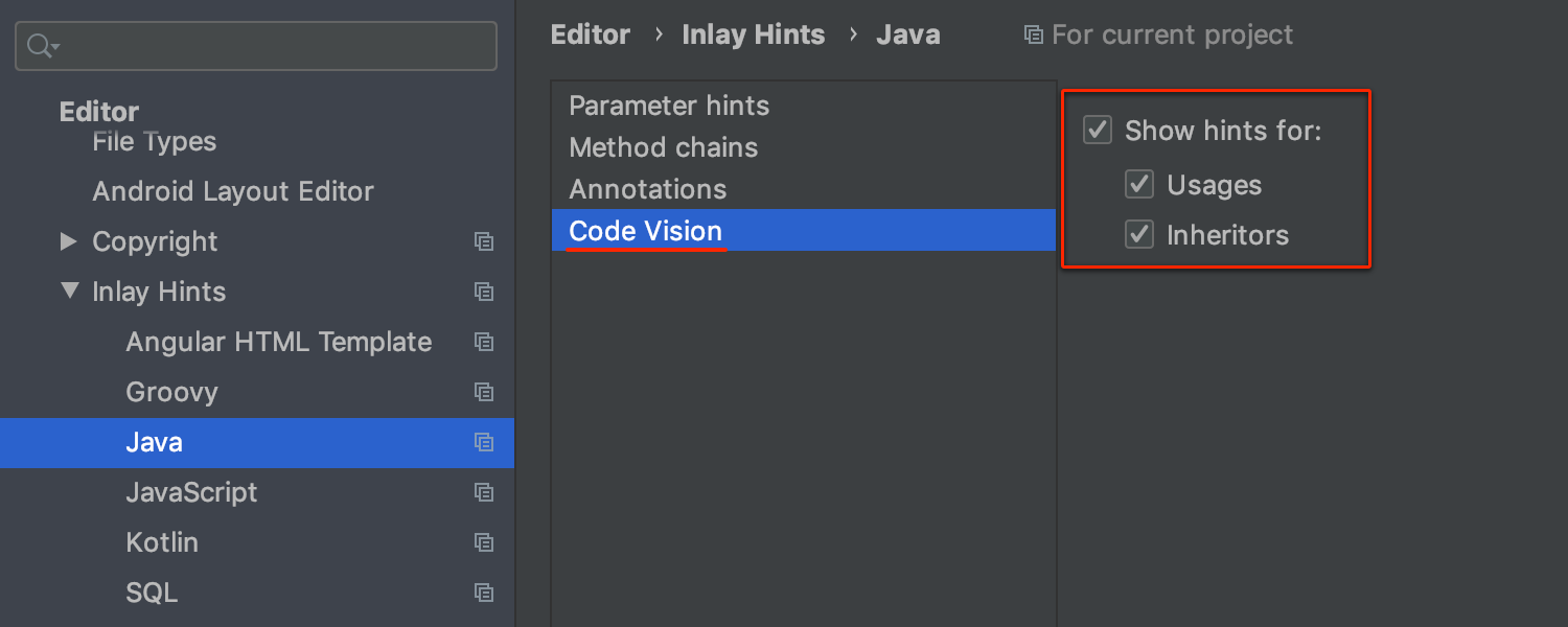 Code Vision settings