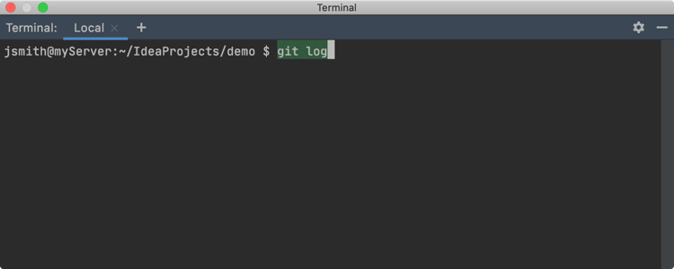 Possibility to run IDE features from the Terminal
