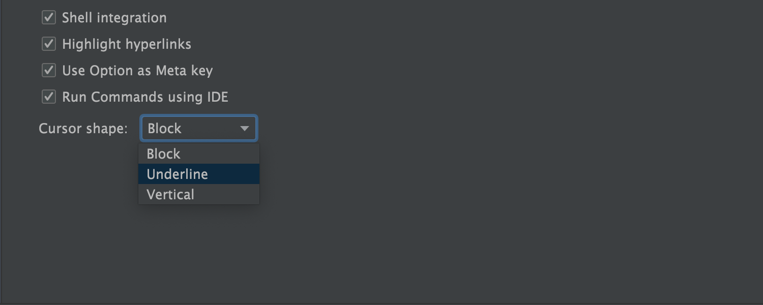 New Terminal options