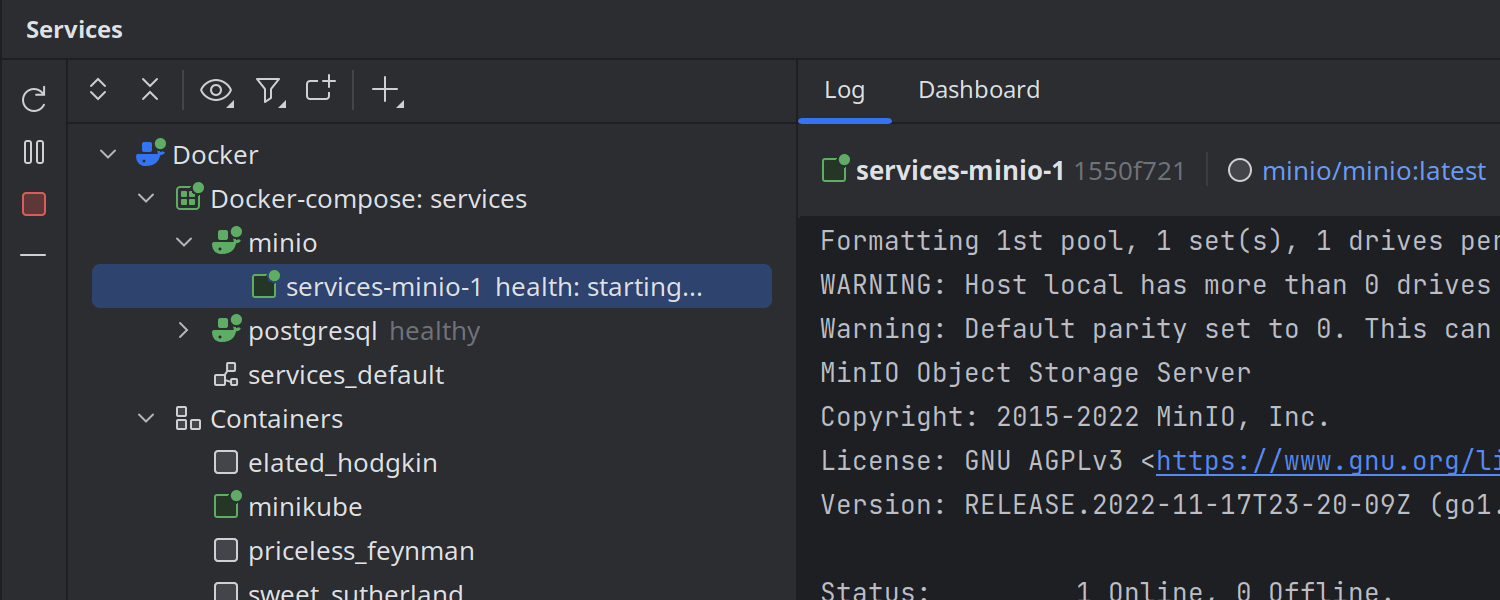 Docker container health statuses in the Services tool window