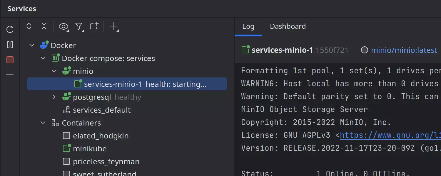 Docker container health statuses in the Services tool window