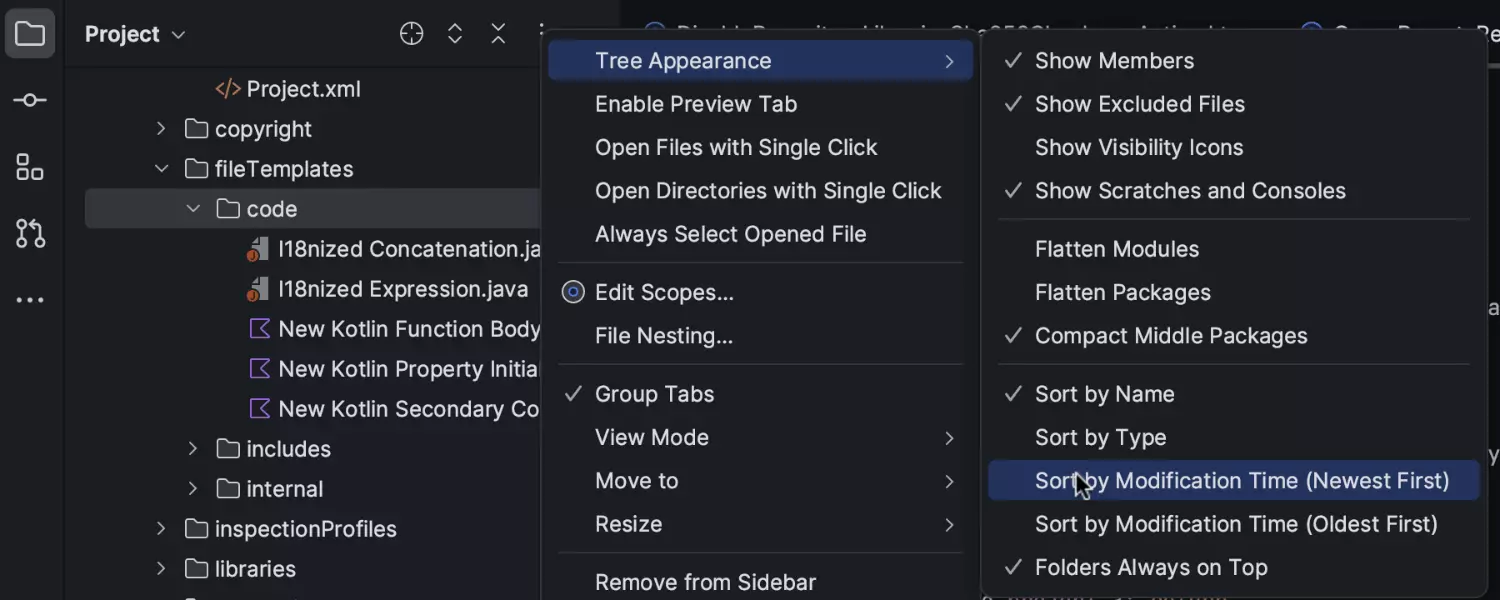 File sorting by modification time in the Project view