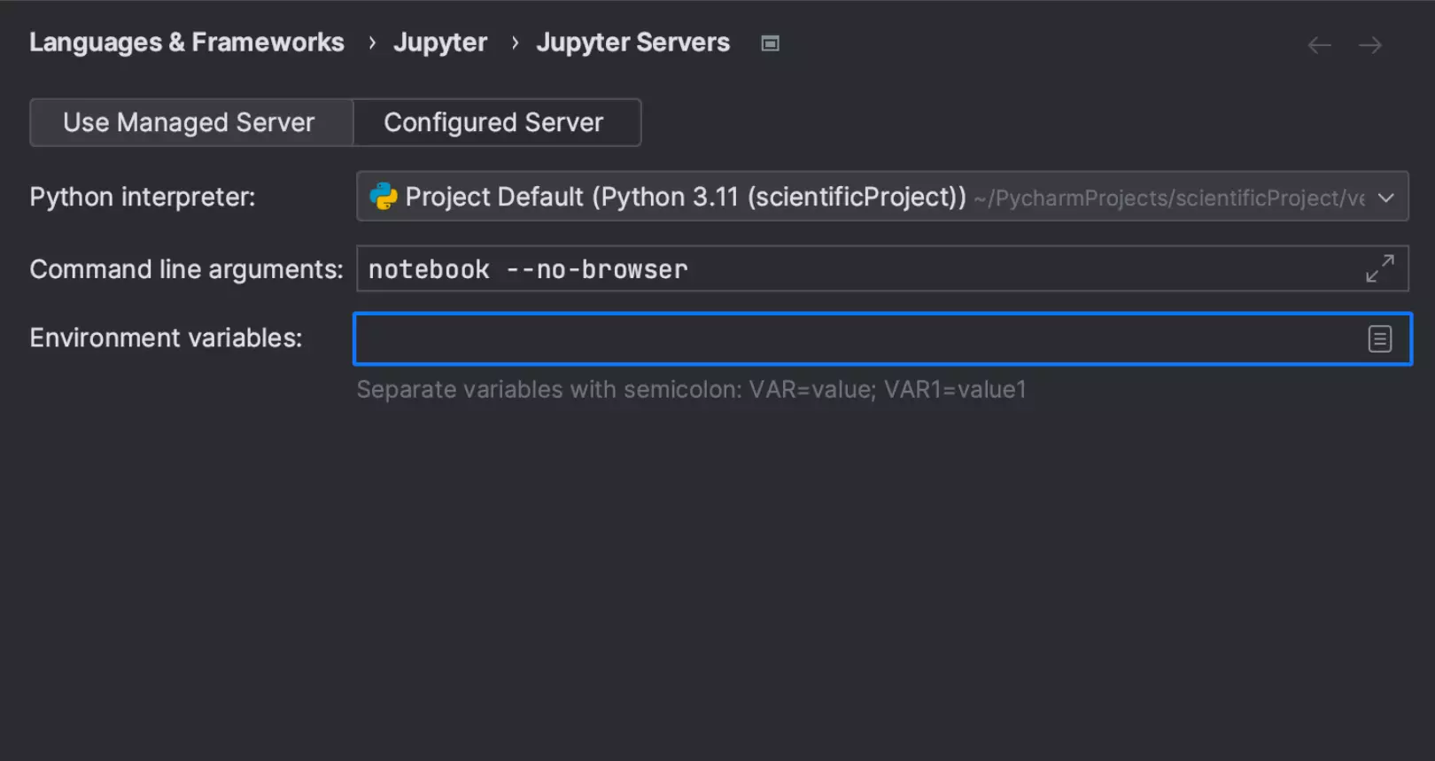 Option pour configurer les serveurs Jupyter gérés