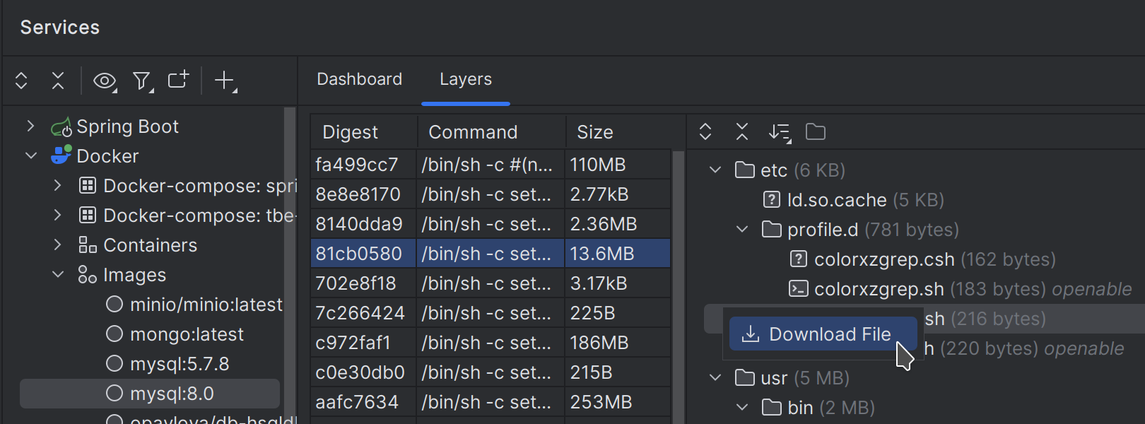Preview of files inside Docker image layers