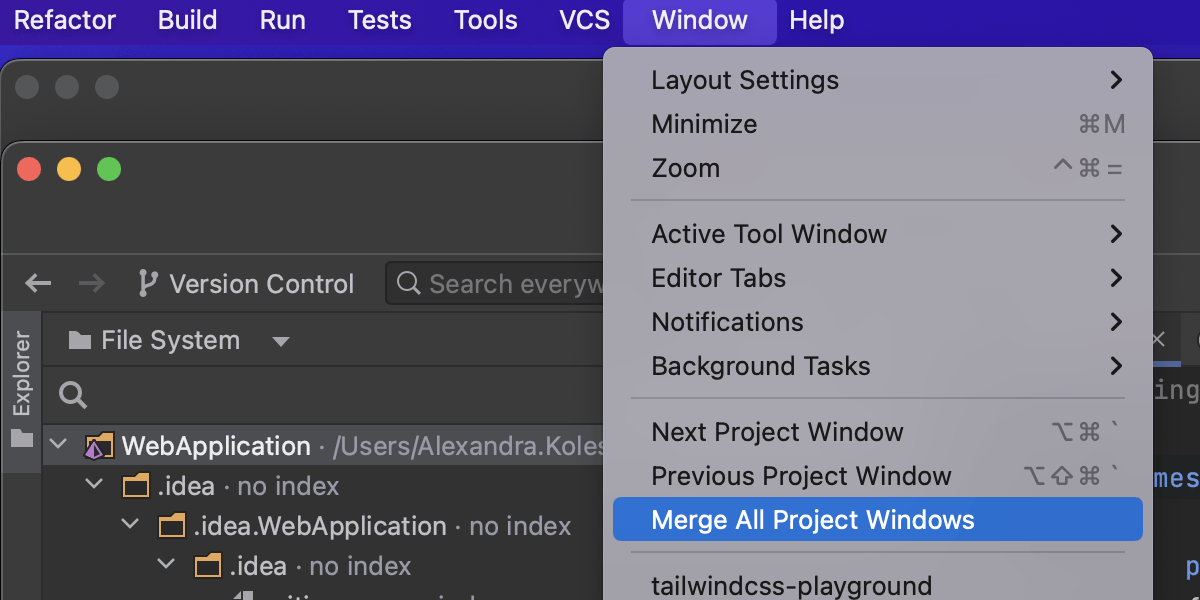 Merge All Project Windows