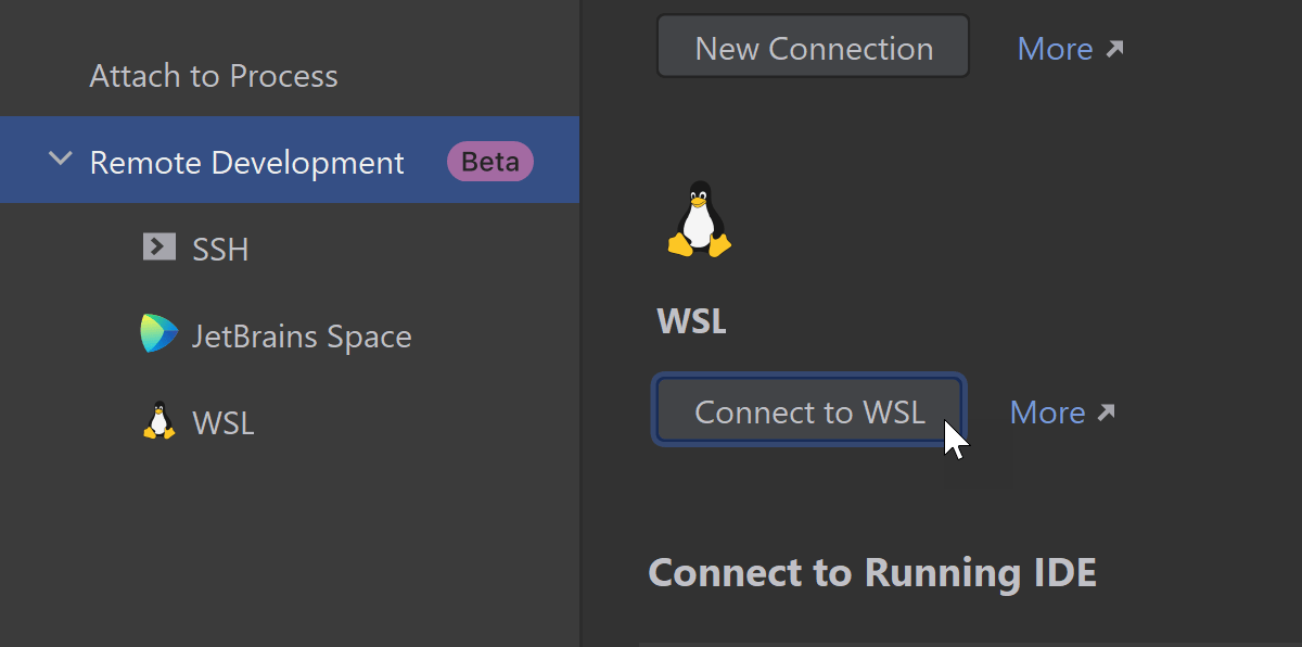 WSL 2 support