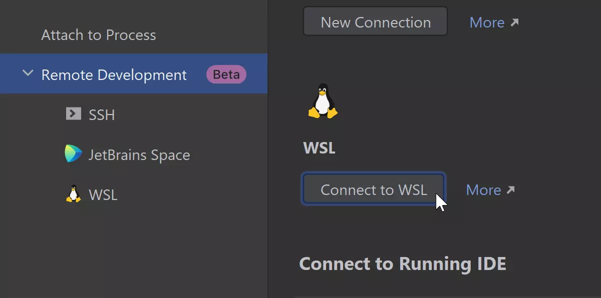 WSL 2 support