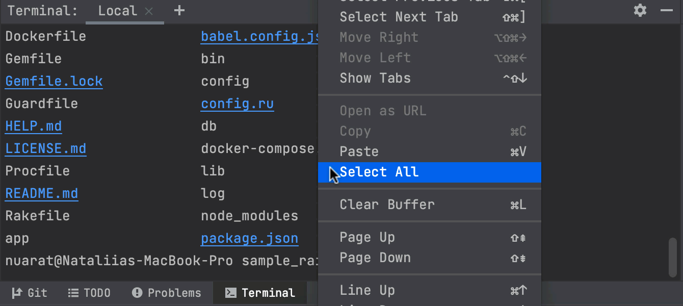 Select All shortcut for the terminal output