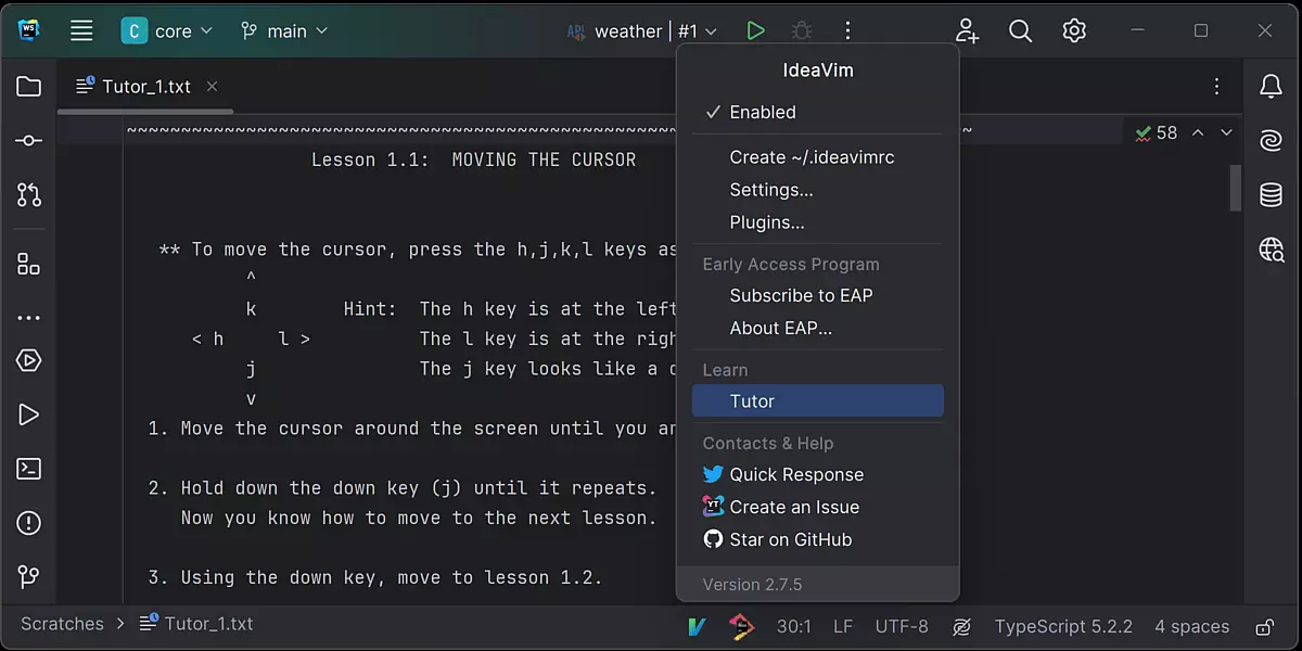 Vim-Integration