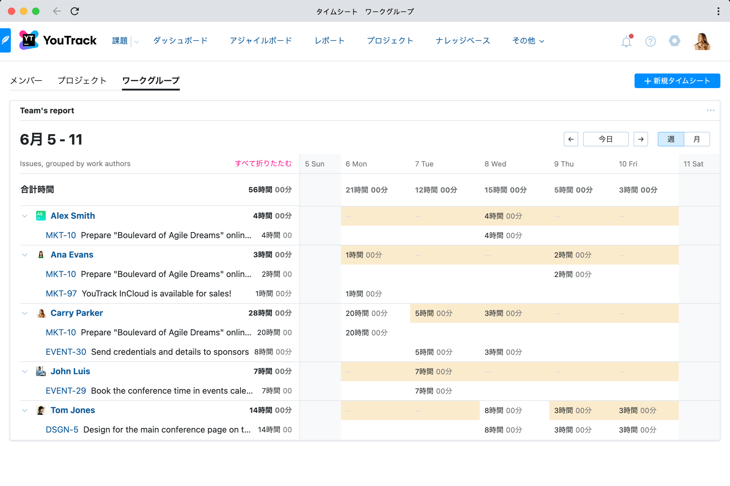 LaTex 表記法のサポート